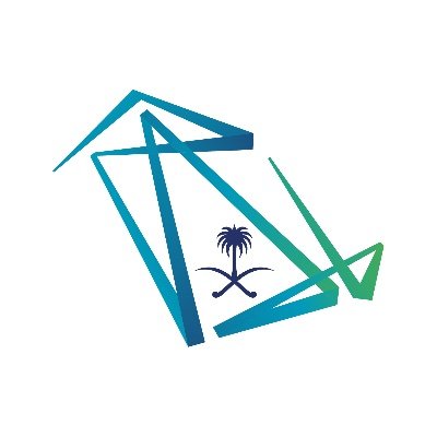 Digital Entrepreneurship Policy Project