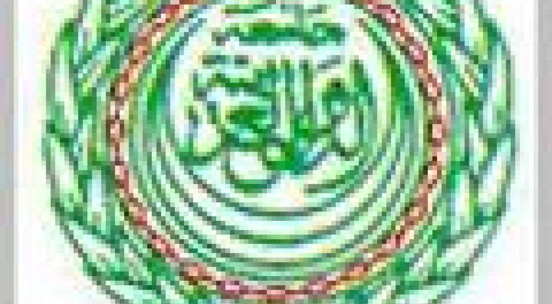 الجامعة العربية تطلق "الشبكة العربية للبحث العلمي والتعليم"
