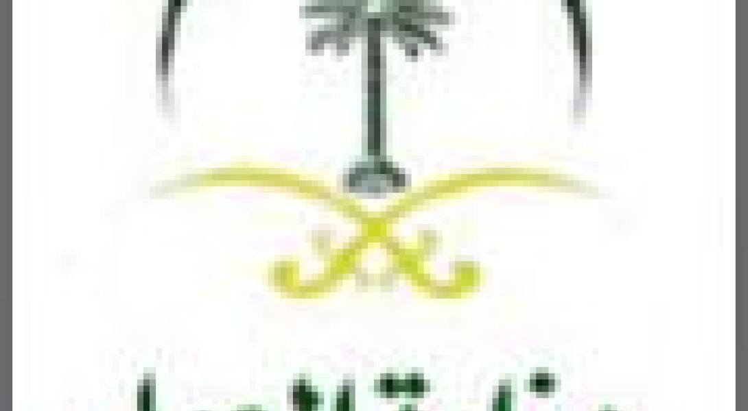 Ministry of Labor Launches Electronic Emplyment and Work Licenses Services Next Week