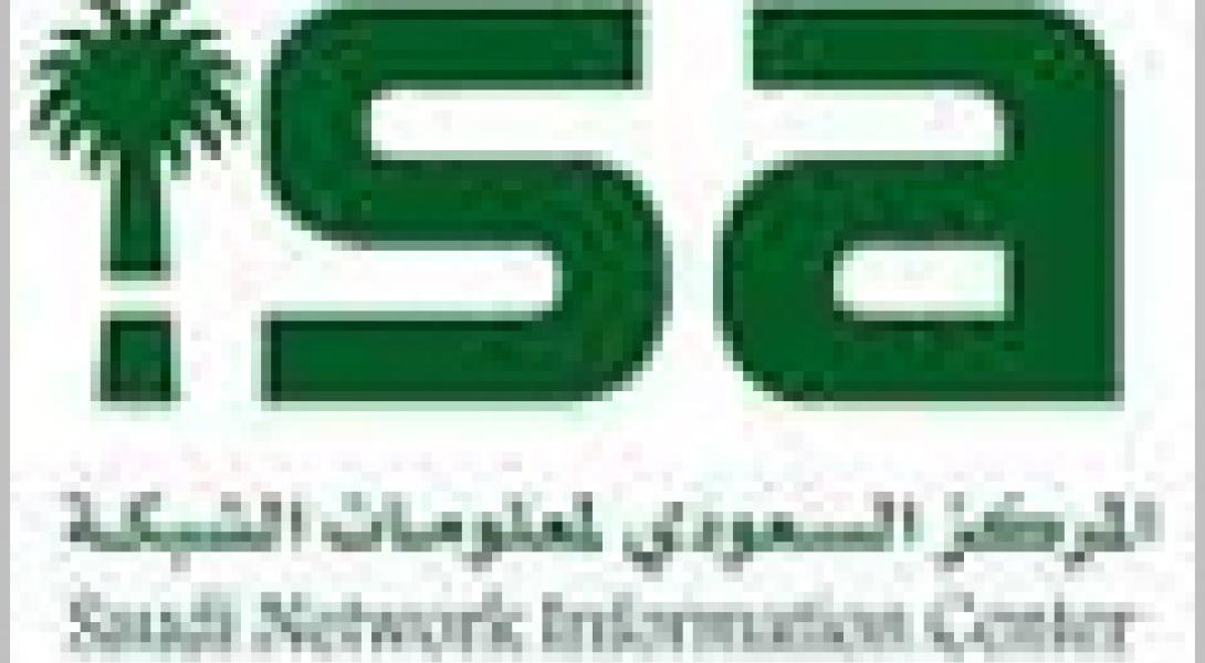 مركز معلومات الشبكة يسجل 21197 نطاقا حتى الأربعاء الماضي