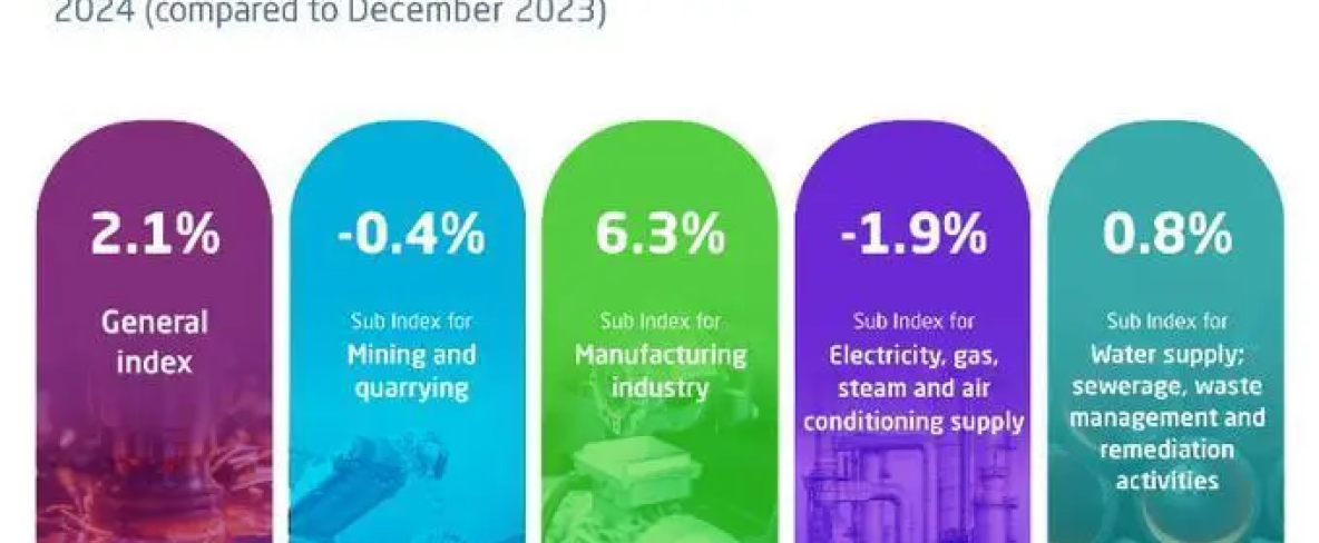 GASTAT: Industrial Production Index Increases by 2.1% in December 2024